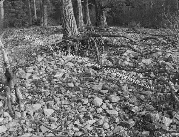 ON ROSS ISLAND WATERSIDE STUDIES THE SUNKEN WATERS AFTER DROUGHT